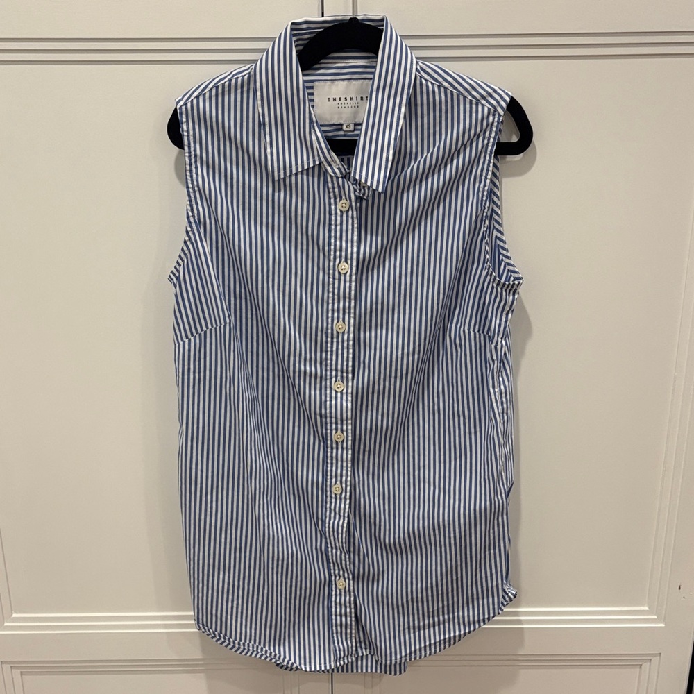 The Shirt by Rochelle Behrens Blue and White Striped Top